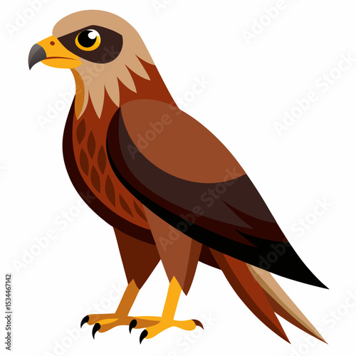 Simple Marsh Harrier Illustration