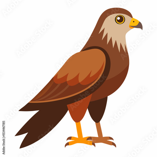 Simple Marsh Harrier Illustration