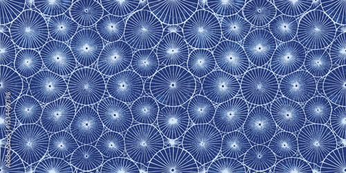 Intricate blue and white pattern featuring overlapping circular designs.