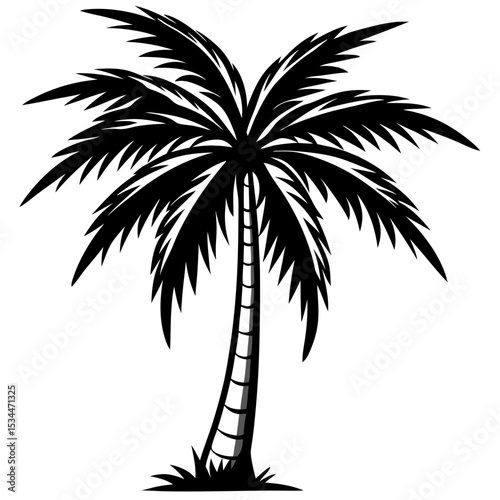 Tropical Silhouette Art