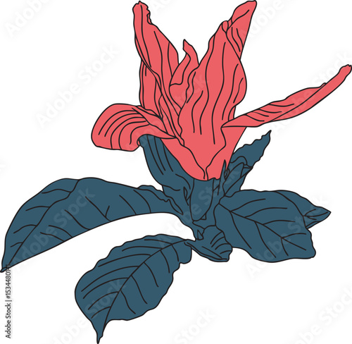 Magnolia flower colorful vector illustration. Hand drawn sketch of blooming floral plant. Botanical art. Great for wedding decor, cards and invitations.