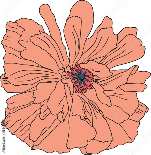 Poppy seed flower colorful vector illustration. Hand drawn sketch of blooming floral plant. Botanical art. Great for wedding decor, cards and invitations.