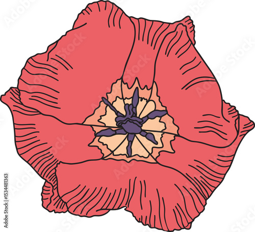 Tulip flower colorful vector illustration. Hand drawn sketch of blooming floral plant. Botanical art. Great for wedding decor, cards and invitations.
