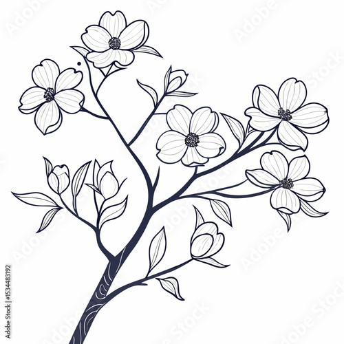 branch of a tree with dogwood