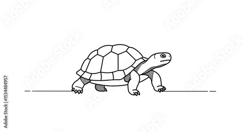 Black and white outline illustration of a tortoise walking side view vector illustration