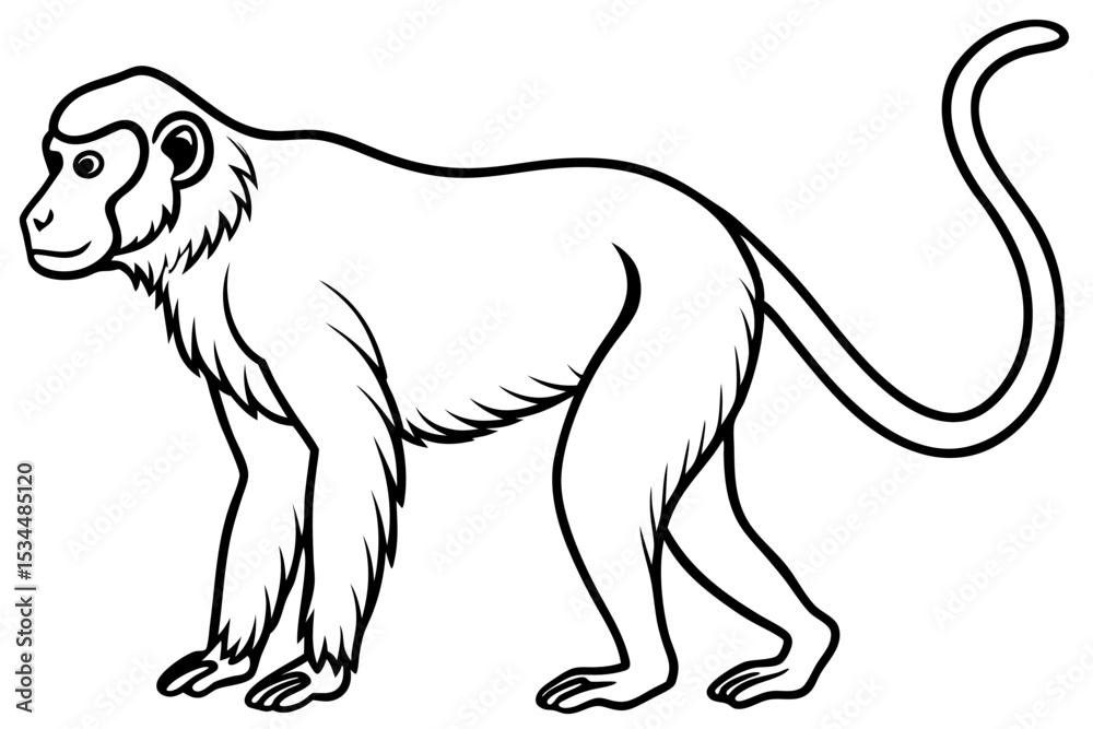 Obraz premium Proboscis Monkey – Clean Vector Outline