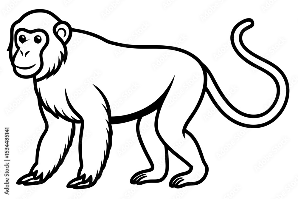 Obraz premium Proboscis Monkey – Clean Vector Outline