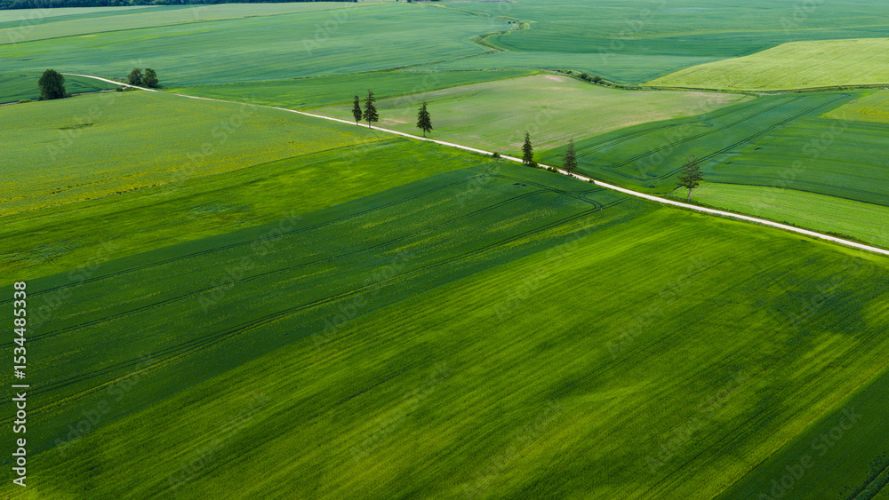 Obraz premium fields in Lithuanian countryside