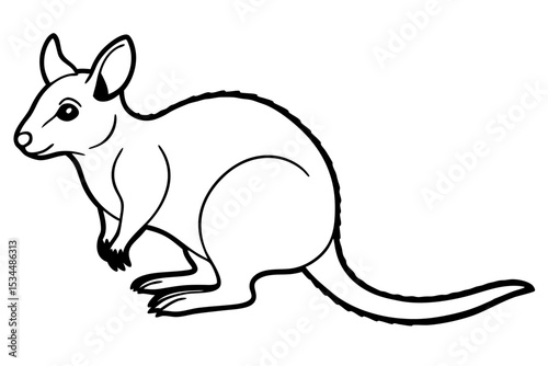 Pademelon Minimalist Line Art Vector