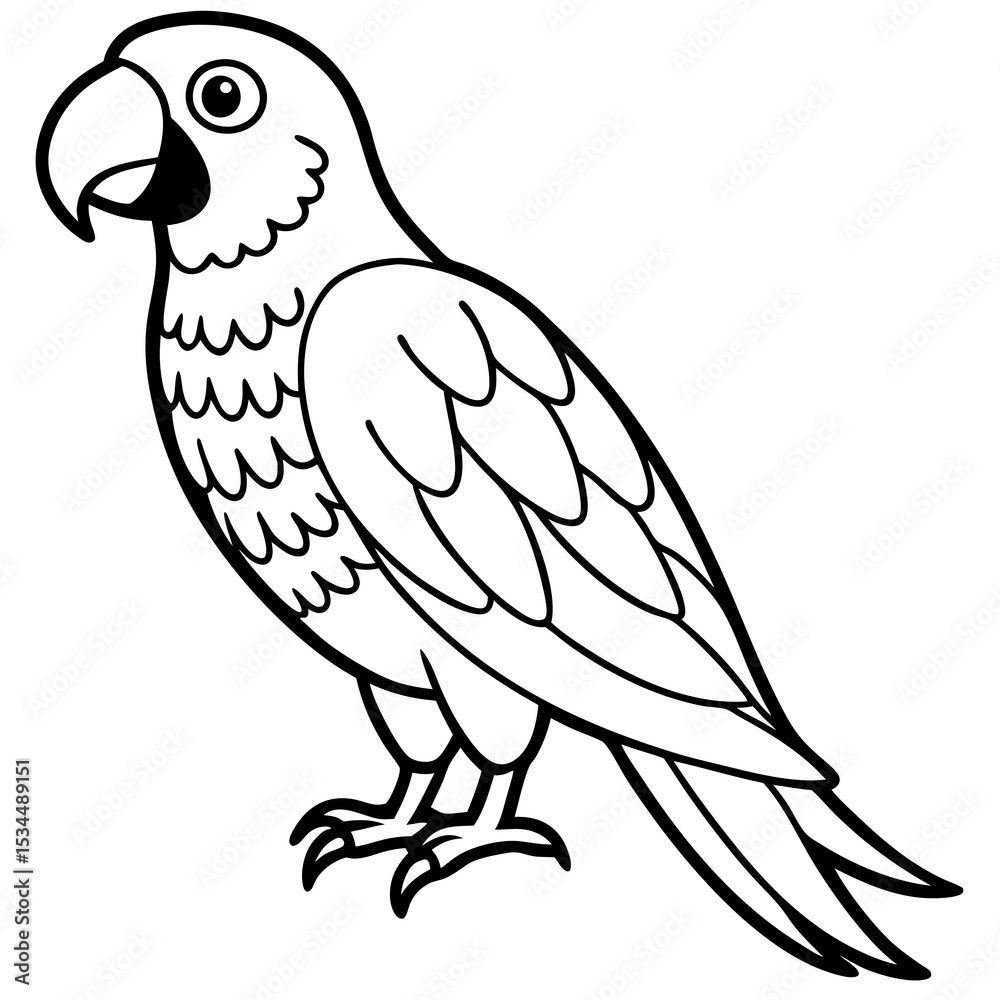 Obraz premium Parrot vector illustration line art and white background