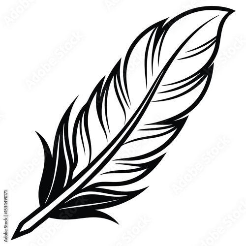  elegant feather collection