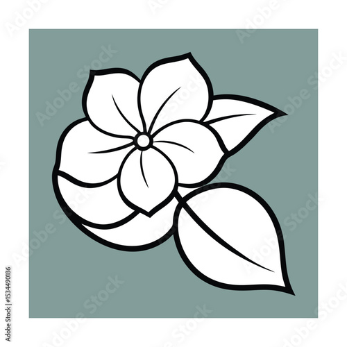 Blooming Dogwood Flower Line Art Illustration