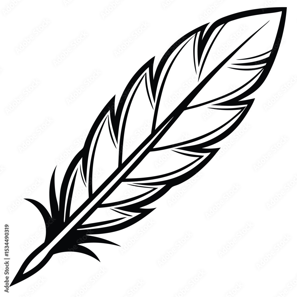 Obraz premium elegant feather collection