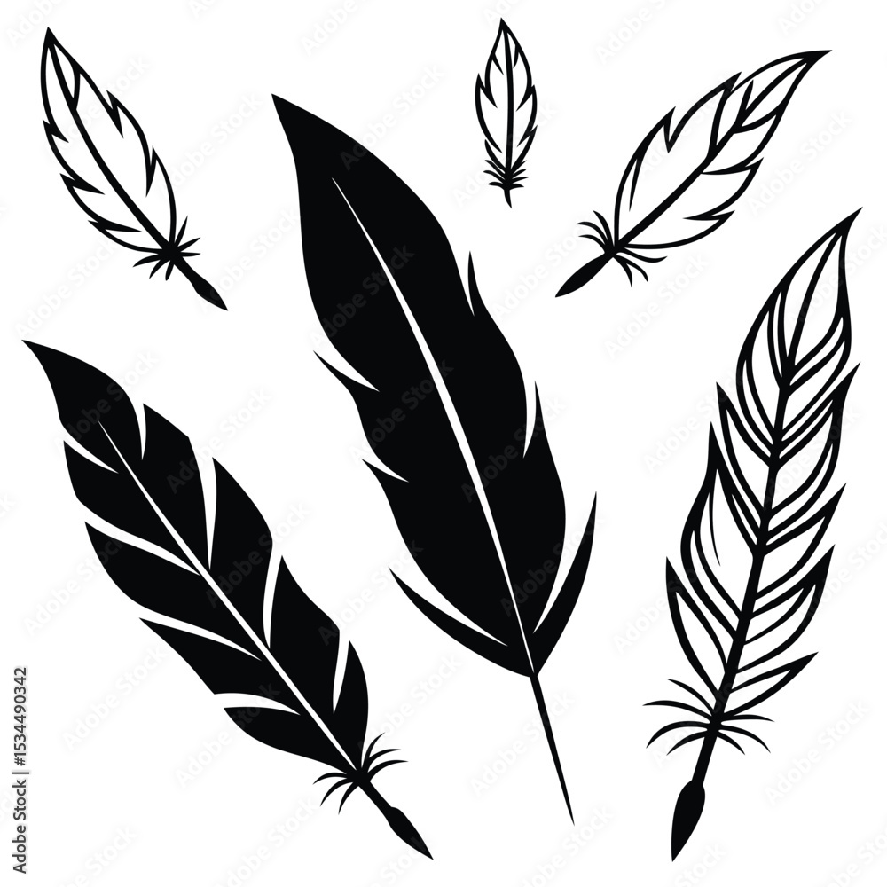 Obraz premium elegant feather collection