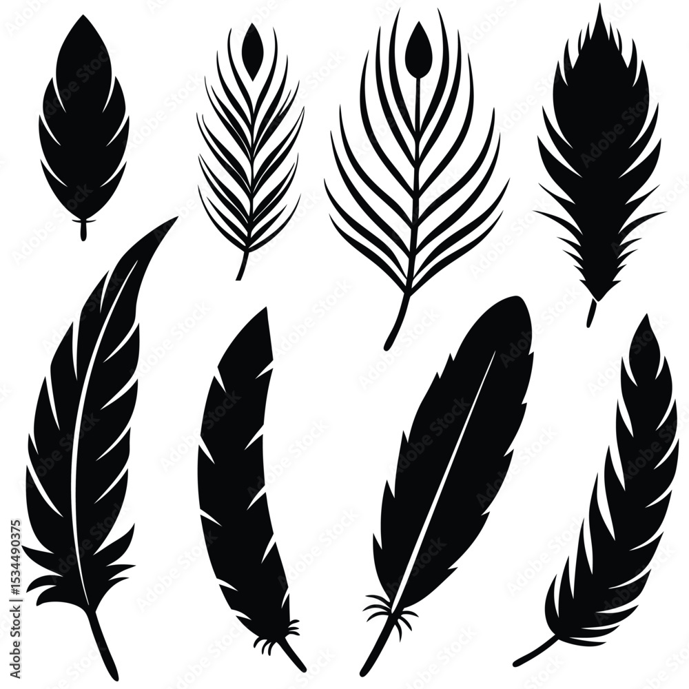 Obraz premium elegant feather collection