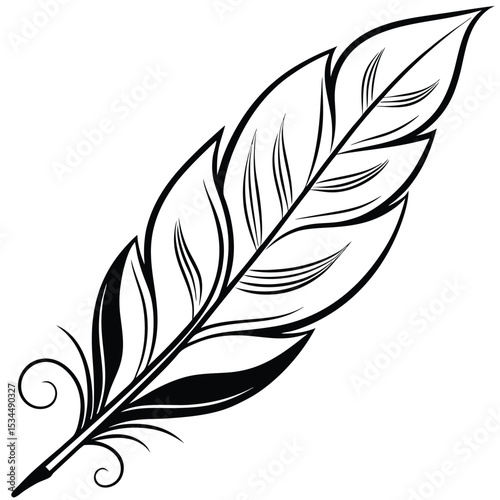  elegant feather collection