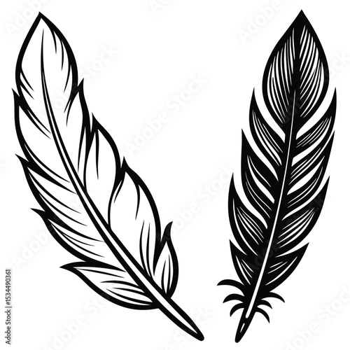  elegant feather collection
