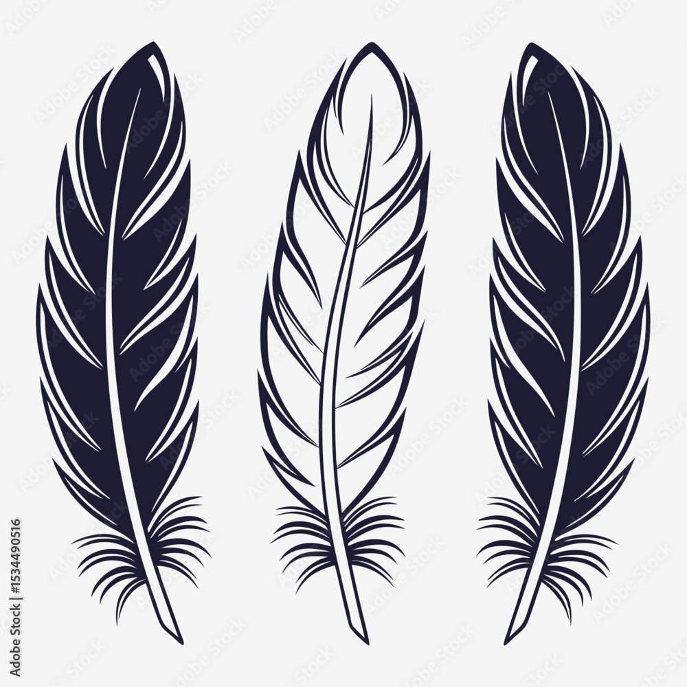 Obraz premium elegant feather collection