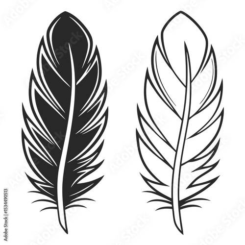 elegant feather collection