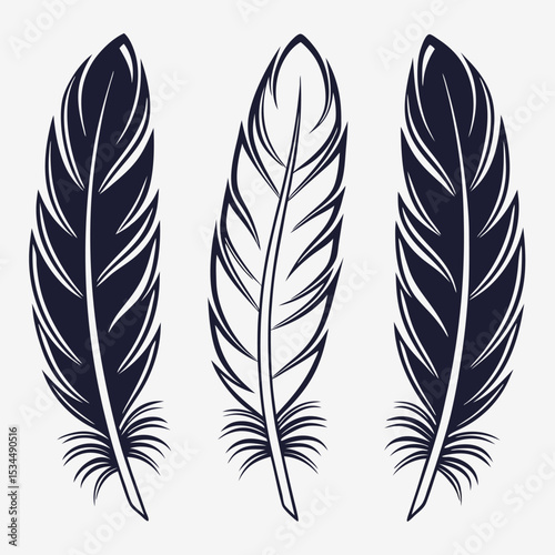  elegant feather collection