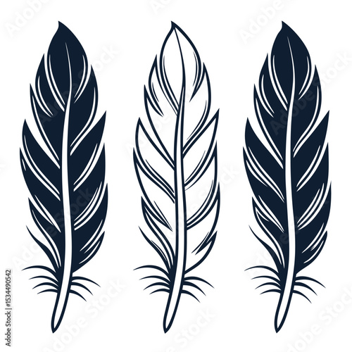  elegant feather collection