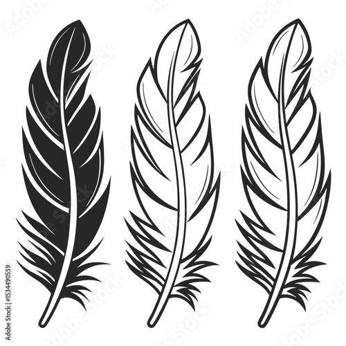  elegant feather collection