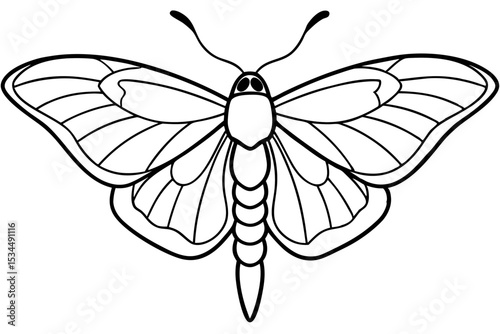 Opal Moth Line Drawing Illustration