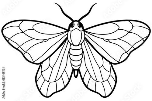 Opal Moth Line Drawing Illustration