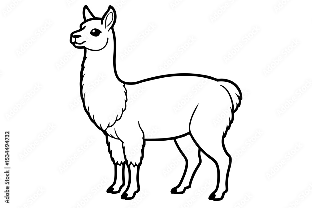 Obraz premium Paca Line Art Vector Design