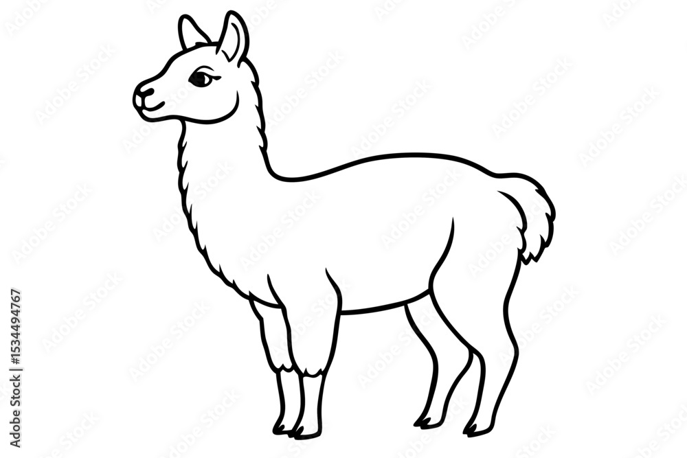 Obraz premium Paca Line Art Vector Design