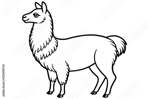 Paca Line Art Vector Design