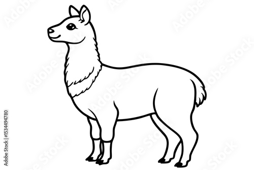 Paca Line Art Vector Design