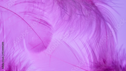 Delicate and soft purple feathers close up background design for artistic texture
