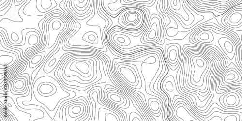 Abstract topography wave lines pattern on white background, topographic contours map background, geographic contour map vector background, White paper curved reliefs for background.