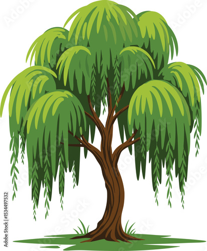 Illustration of a Beautiful Willow Tree with Lush Green Leaves and Long Drooping Branches, Natural Scenery, Vibrant Colors, Perfect for Landscapes, Outdoor, and Nature Themes, 