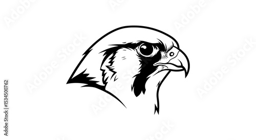 Falcon Head Drawing - Majestic Bird of Prey Black and White Illustration

