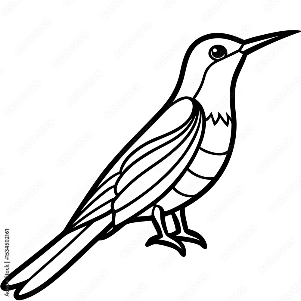 Obraz premium Minimalist Sunbird Line Art Illustration
