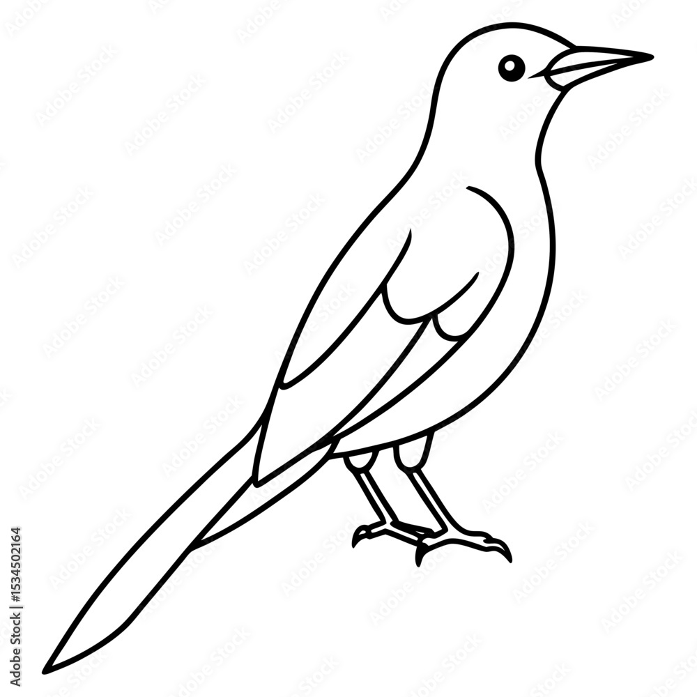 Fototapeta premium Minimalist Sunbird Line Art Illustration