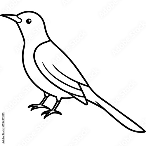 Minimalist Sunbird Line Art Illustration