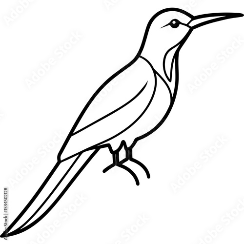 Minimalist Sunbird Line Art Illustration