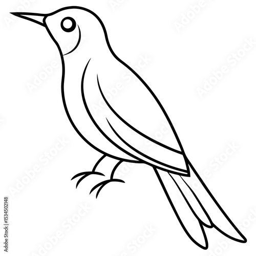 Minimalist Sunbird Line Art Illustration