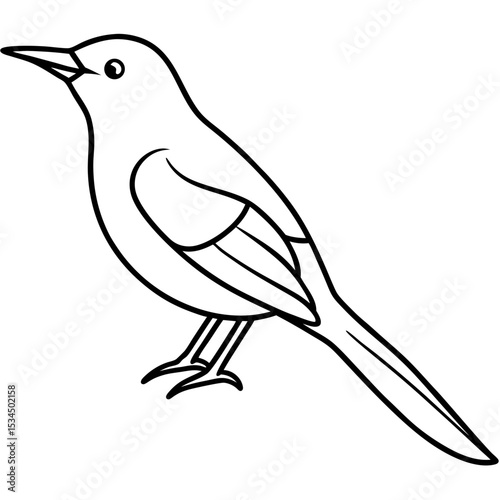 Minimalist Sunbird Line Art Illustration