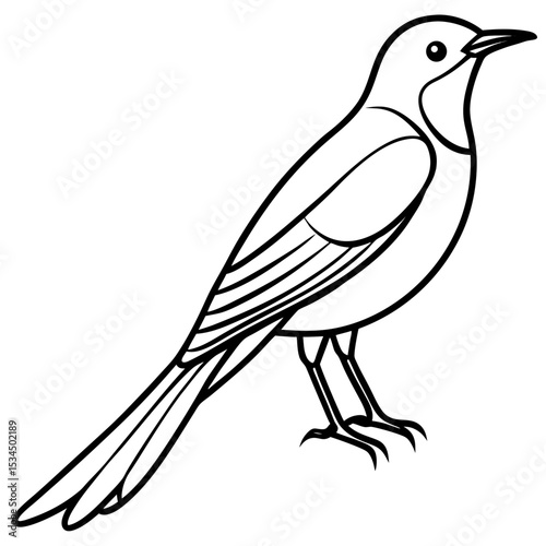 Minimalist Sunbird Line Art Illustration