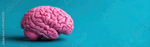 Vibrant pink brain model against a teal background symbolizes creativity and cognitive function in a colorful representation. concept of artificial intelligence, mind games, interactive tasks