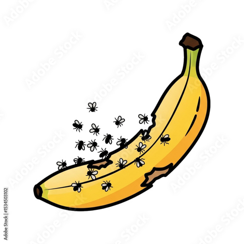 Rotten banana with flies.