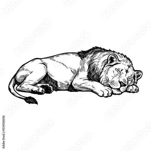 Sleeping Lying Lion Resting Animal Creature Side View Majestic King Jungle Wildlife Black and White Outline Line Art Drawing