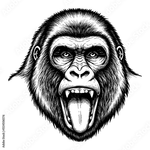 Aggressive Gorilla Face with Tongue Sticking Out Detailed Black and White Outline Line Art Drawing
