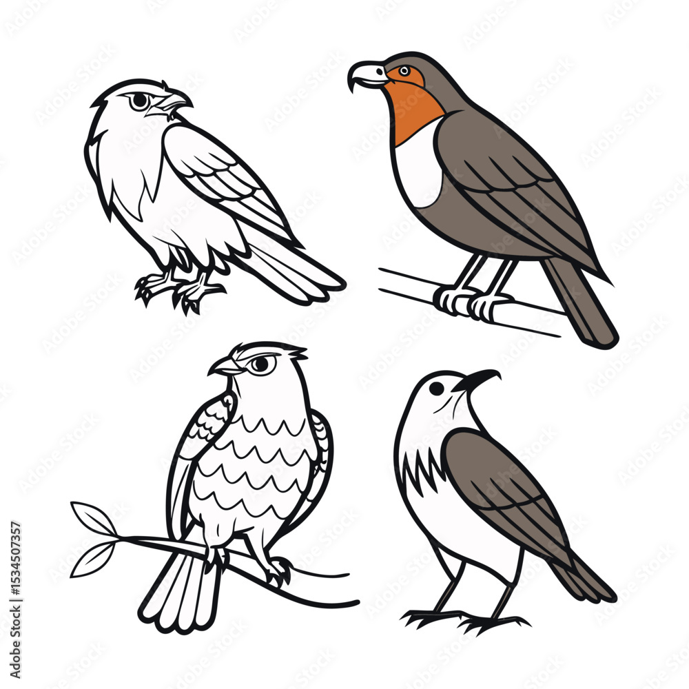 Fototapeta premium Set of 4 bird illustrations, hawks and falcons vector