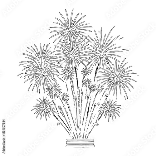 Wallpaper Mural Exploding Fireworks Black and White Outline Line Art Drawing for Festive Celebration Display Event Torontodigital.ca