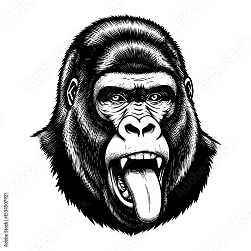 Detailed Gorilla Face with Tongue Out Expression Black and White Outline Line Art Drawing Vintage Engraving